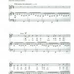 暮色昏暗中有光芒 Chill of the Nightfall