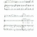 專心信主 Trust in the Lord