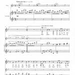 神完美妙韻 The Music of God